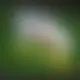 Zagraj Let It Ride z Playtech w {"id":29,"name":"DollyCasino","design":{"logo":"dollycasino-logo.F5Mszn.svg","favicon":"dollycasino-favicon.r9SUrg.png","banner_poker":"dollycasino-poker-9Bol6B.webp","banner_mobile":"dollycasino-mobile-q9C5bl.webp","block_bg_color":"#1E1E1E","image_bg_color":"#333","banner_bg_color":"#1E1E1E","block_text_color":"#ffffff","primary_bg_color":"#272626","banner_text_color":"#fff","footer_logos_type":"white","block_round_radius":"0.25rem","primary_text_color":"#ffffff","button_round_radius":"0.25rem","banner_welcome_bonus":"dollycasino-welcome-bonus-tTcHT0.webp","primary_button_bg_color":"#E11218","primary_button_text_color":"#fff","secondary_button_bg_color":"#00B408","secondary_button_text_color":"#fff"},"created_at":"2025-05-14T09:25:22.000000Z","updated_at":"2025-05-14T09:25:22.000000Z","deleted_at":null}